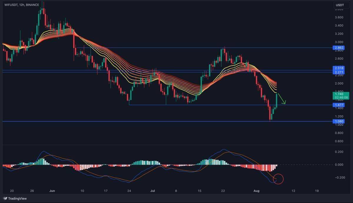 Dogwifhat 以13%领涨市场——是什么推动了其价格上涨？