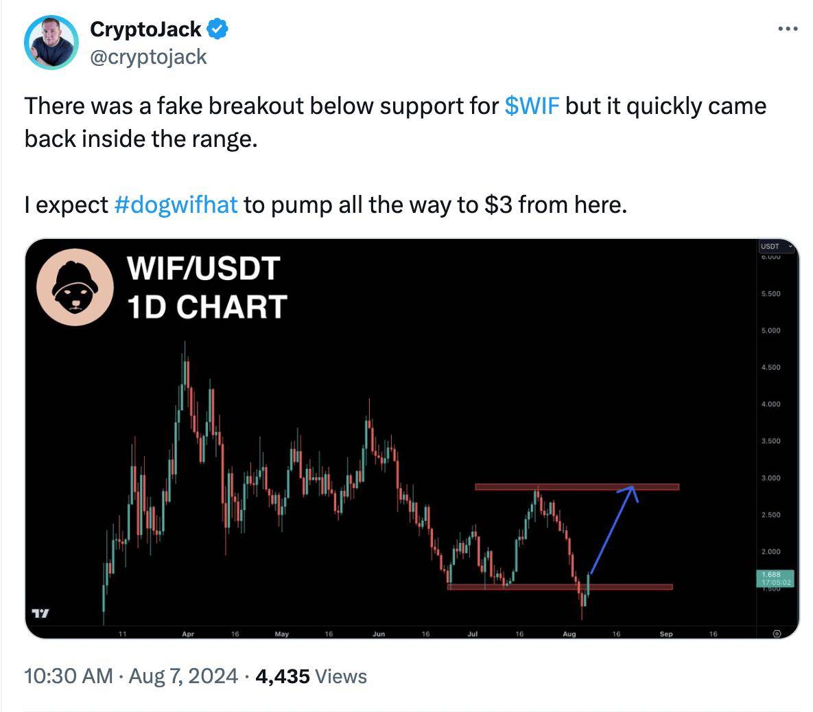 Dogwifhat 以13%领涨市场——是什么推动了其价格上涨？