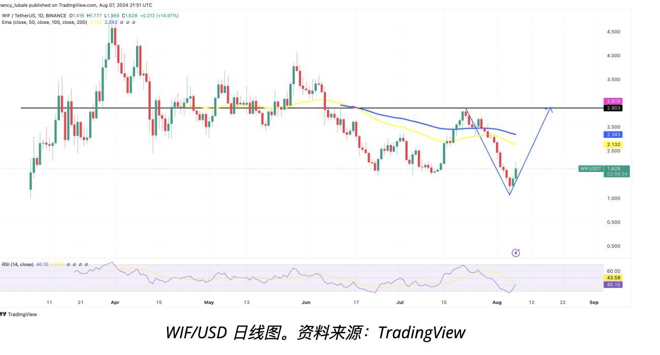 Dogwifhat 以13%领涨市场——是什么推动了其价格上涨？