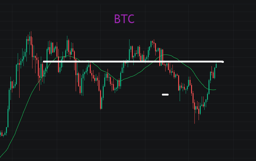 BTC一路逼高，shib 有望成为破历史新高币种？