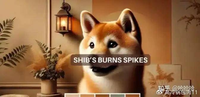 柴犬烧伤率上升，但这就是 SHIB 仍低于关键水平的原因