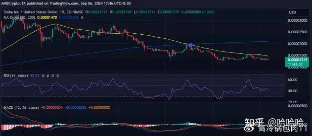 柴犬烧伤率上升，但这就是 SHIB 仍低于关键水平的原因
