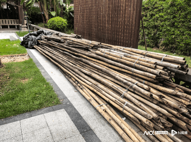 暗访回头看:广州口袋公园乱象整改成效如何?记者再探