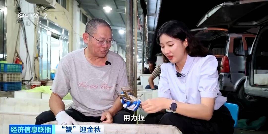 平均月收入约2万元!30年工作经验“金牌挑蟹师”如何选螃蟹?