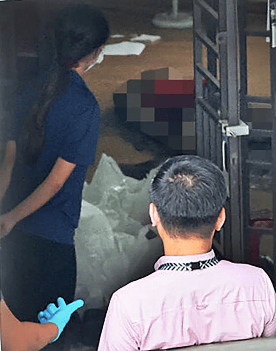 新加坡现双尸案：父亲成白骨，剑桥博士女儿疑饿死，一家来自东北