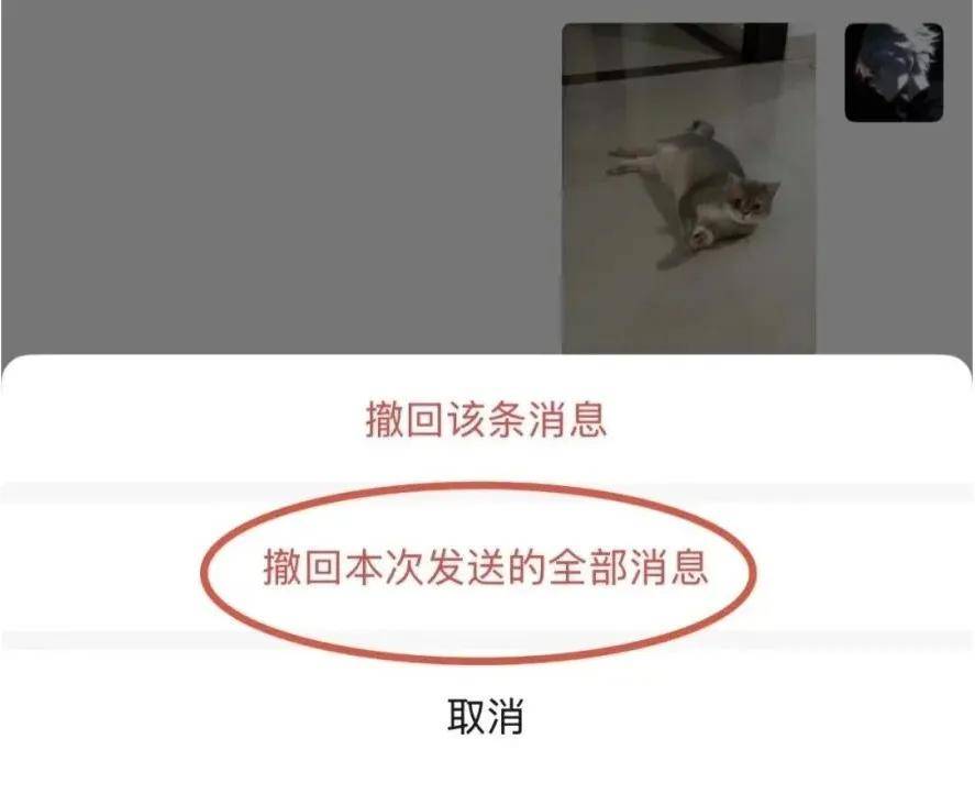 传宗馥莉被带走,娃哈哈董事会成员回应;资深天使投资人因车祸不幸离世;微信灰度测试一次性撤回全部消息;鸡排哥疑似成立工作室丨邦早报