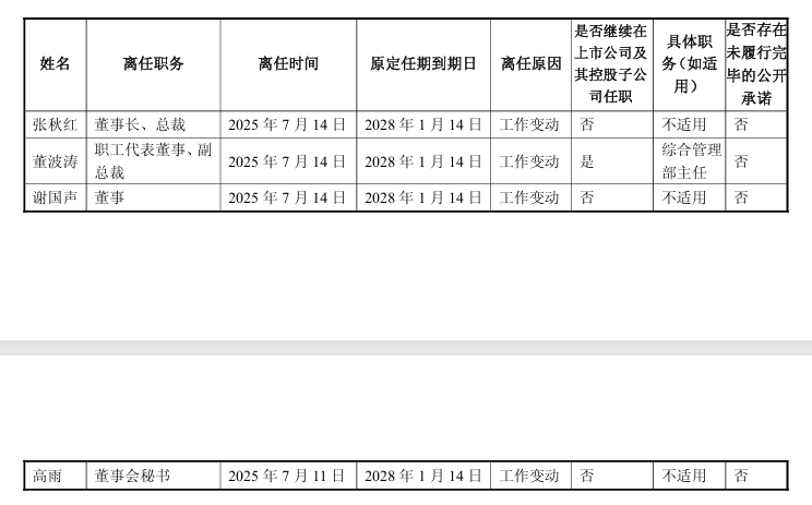 “包袱”甩给立讯精密，闻泰科技成功上岸？