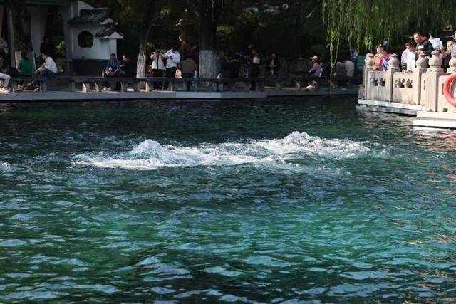 黑虎泉喷得“兽头”都不够用了!济南群泉竞涌,几十年一见