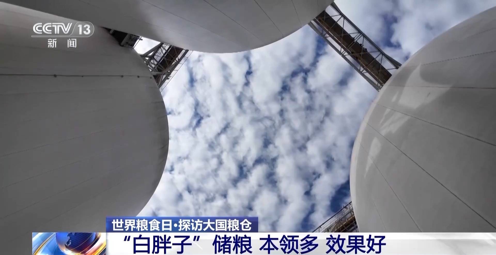 粮食入库进入“AI全自动时代” 探秘大国粮仓科技底色