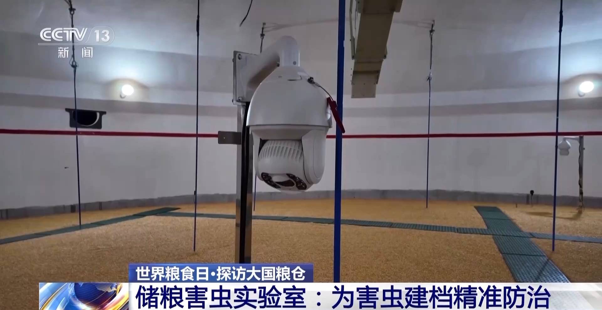 粮食入库进入“AI全自动时代” 探秘大国粮仓科技底色