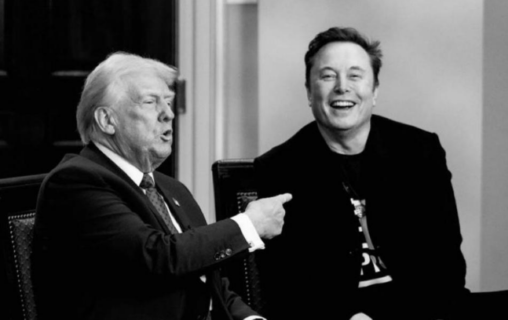 缅甸军方突袭电诈园区,查获关键证据,铁证如山马斯克逃不了干系