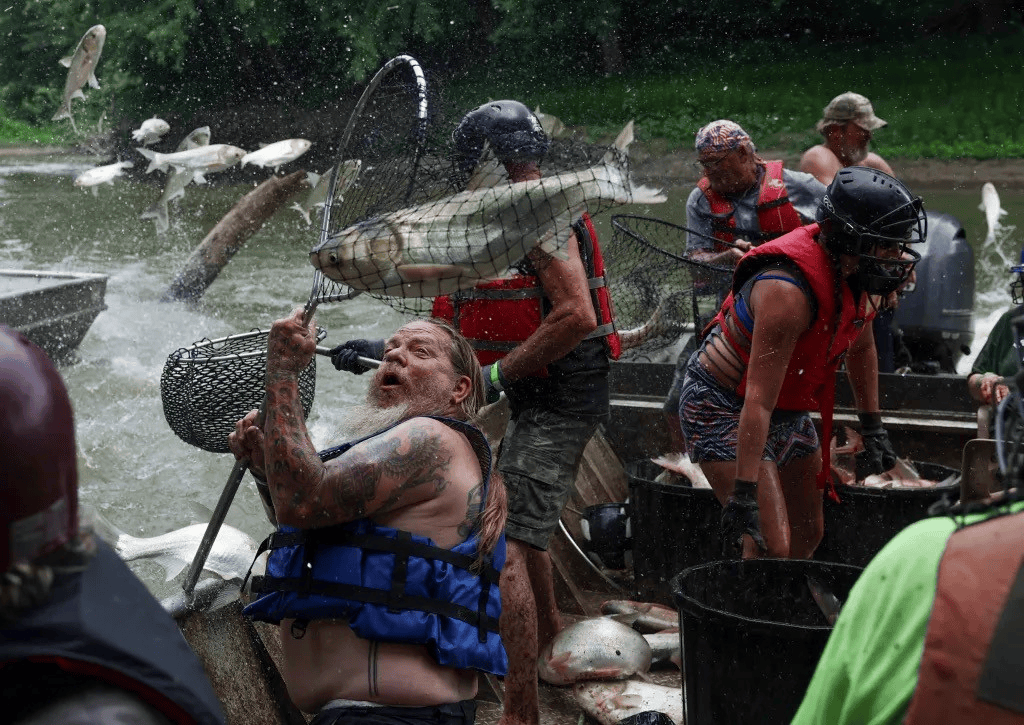 特朗普又有了新敌人！高调宣战亚洲鲤鱼，这次总不能再输了