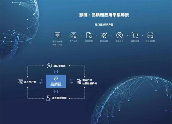 区块链案例(区块链案例分析报告)