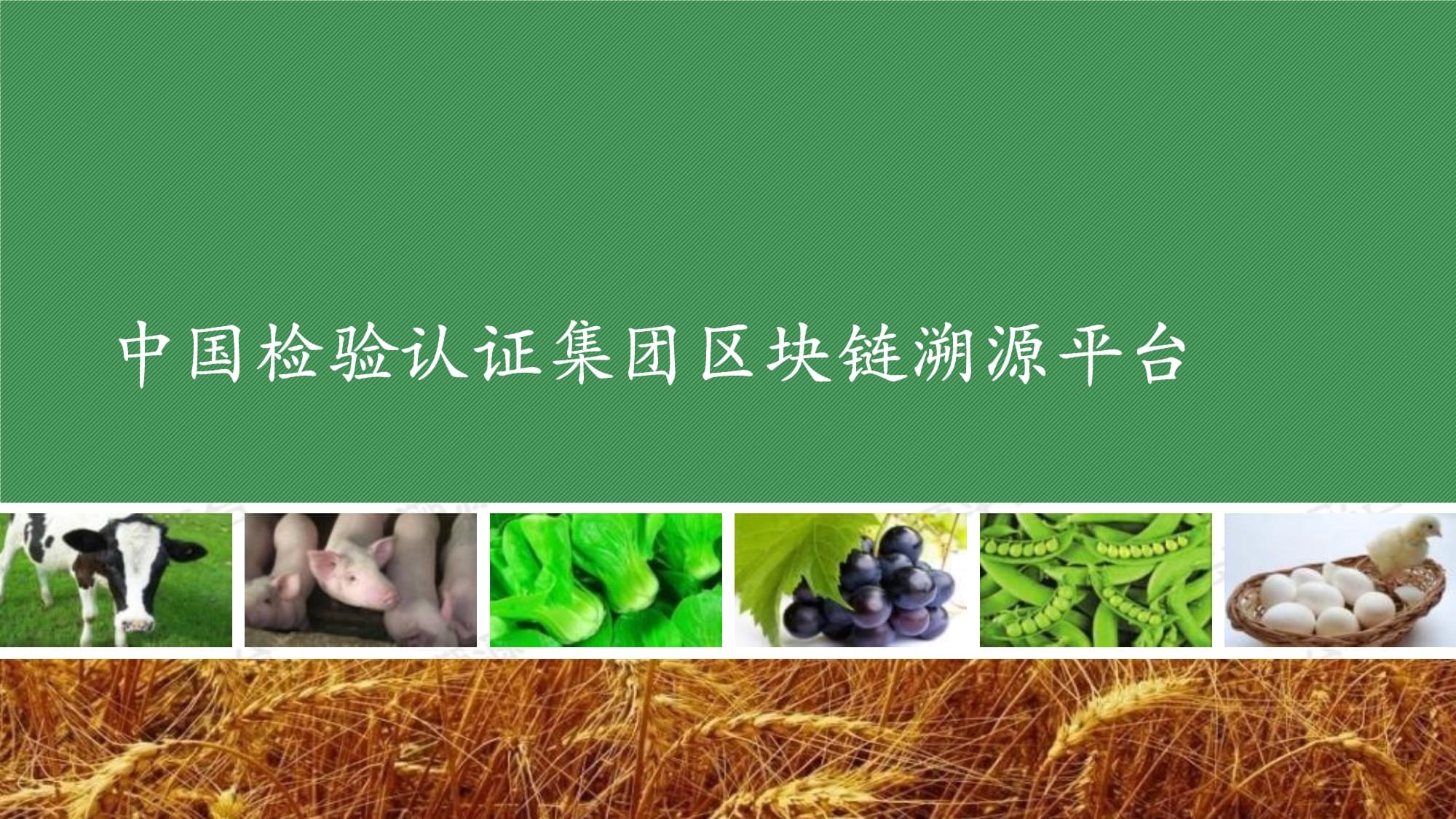区块链溯源(区块链溯源是如何实现的)